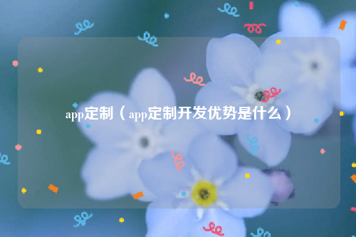 app定制（app定制开发优势是什么）