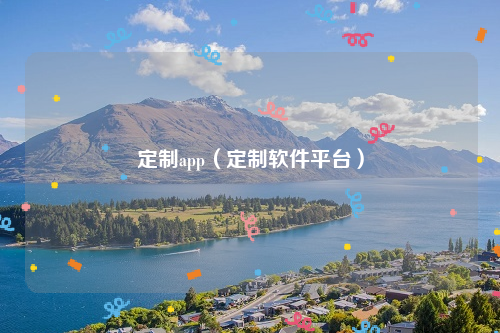 定制app（定制软件平台）