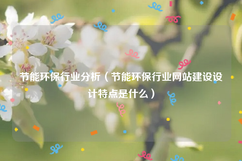 节能环保行业分析（节能环保行业网站建设设计特点是什么）