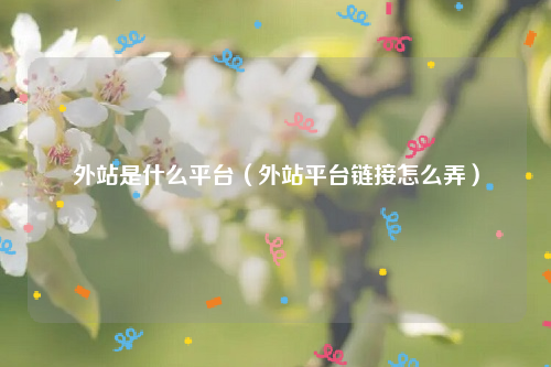 外站是什么平台（外站平台链接怎么弄）