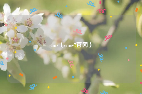 cms（cmsv7官网）